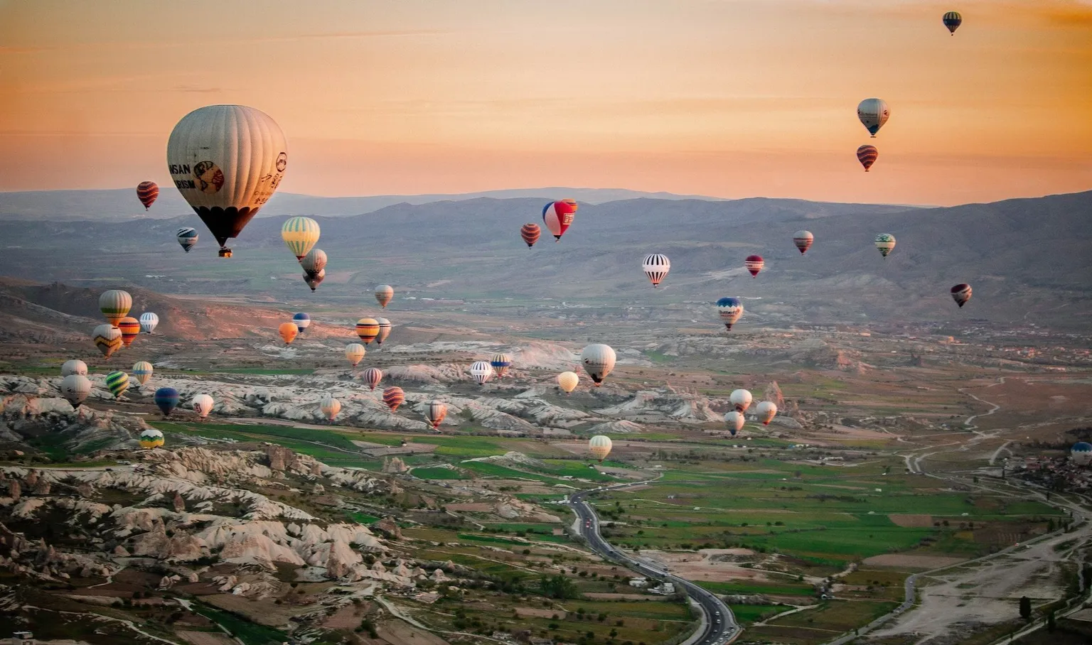 field of hot air ballons
