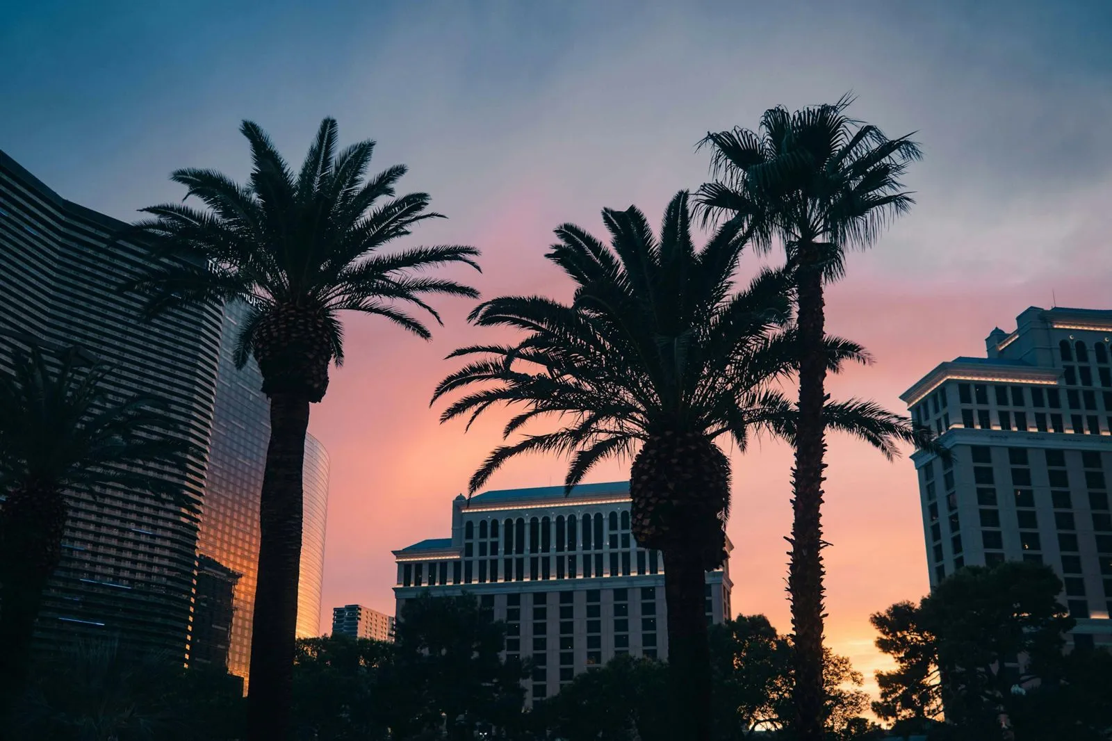 Sunset view of palm trees and modern buildings in Las Vegas